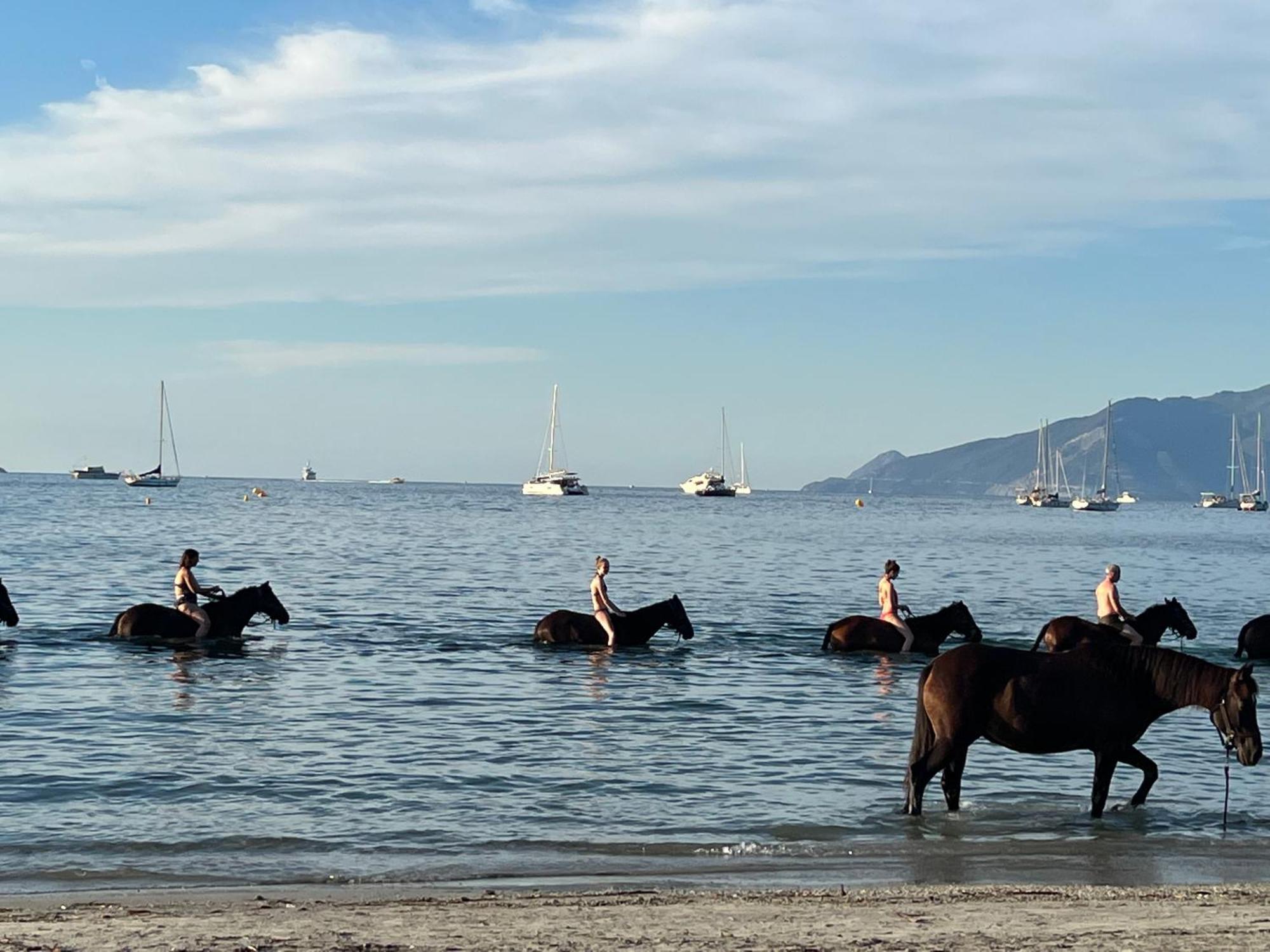 Gite Au Paradis, Parc Animalier Olmeta-di-Tuda Dış mekan fotoğraf